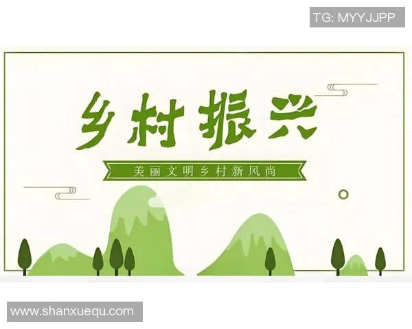 新疆乡村足球的崛起与发展探索助力乡村振兴与青少年成长之路