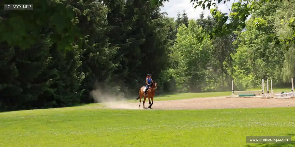 🔥热血赛事，一触即发！你的尖叫，就是赛场的心跳！
